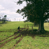 "Riding that takes you up roads that make you wonder if a cyclist has ever even been there before"