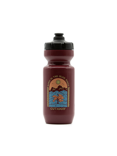 Blue Ridge 22oz Purist Water Bottle - Rosewood