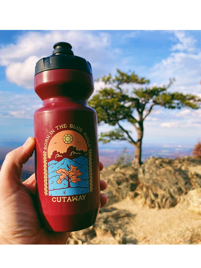 Blue Ridge 22oz Purist Water Bottle - Rosewood